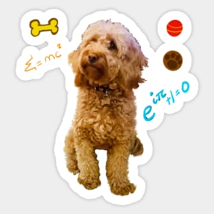 Doggy math with cute Cavoodle, Cavapoo, Cavalier King Charles Spaniel Sticker